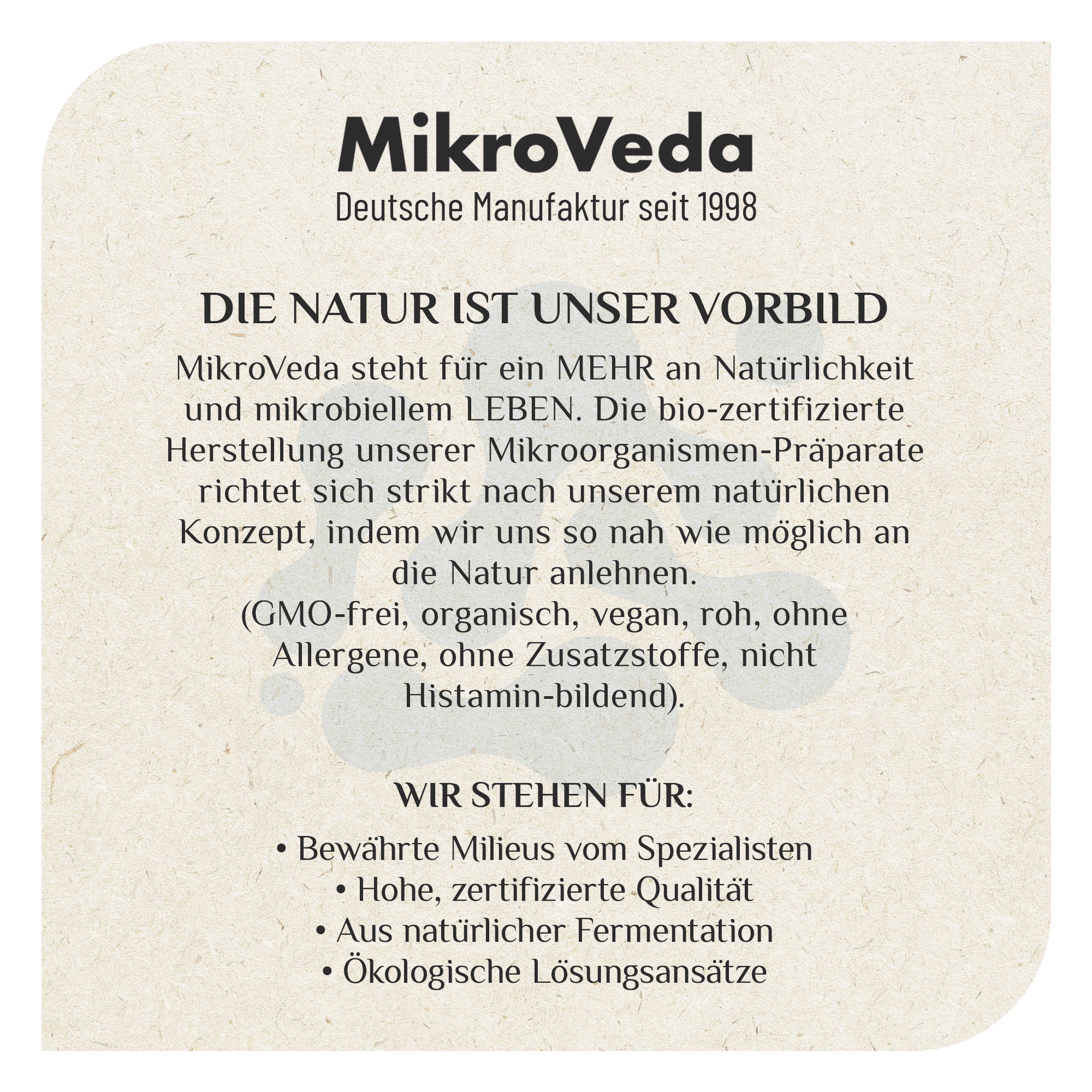 MikroVeda Kleine Auszeit ENERGIEQUELLE 50 ml Sprühflasche Glas