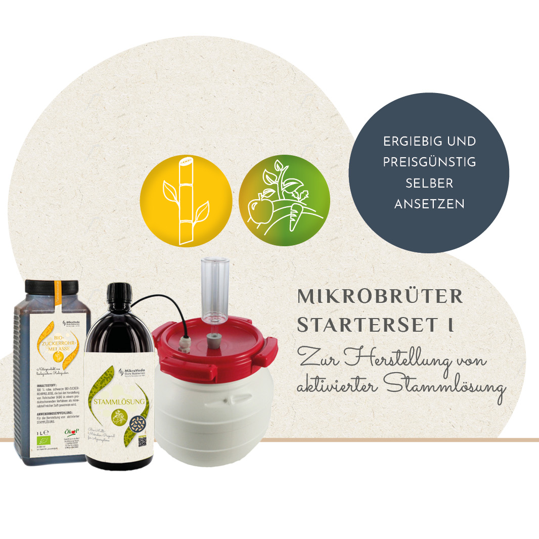 Mikrobrüter STARTERSET 3,6 L