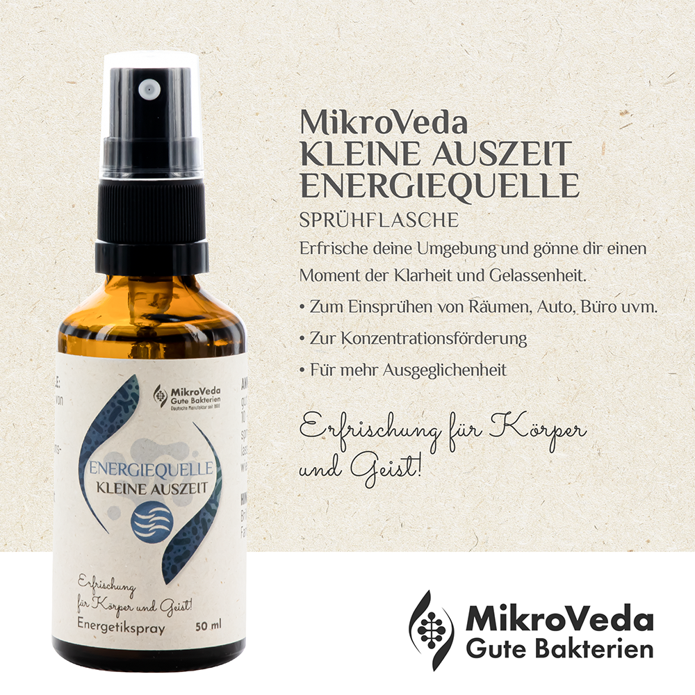 MikroVeda Kleine Auszeit ENERGIEQUELLE 50 ml Sprühflasche Glas